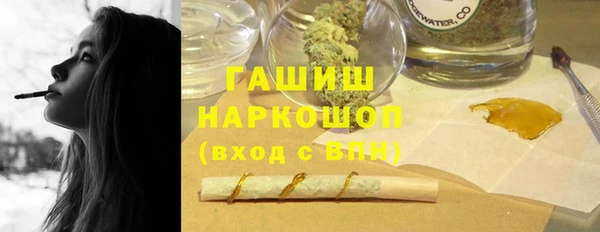 хмурый Няндома