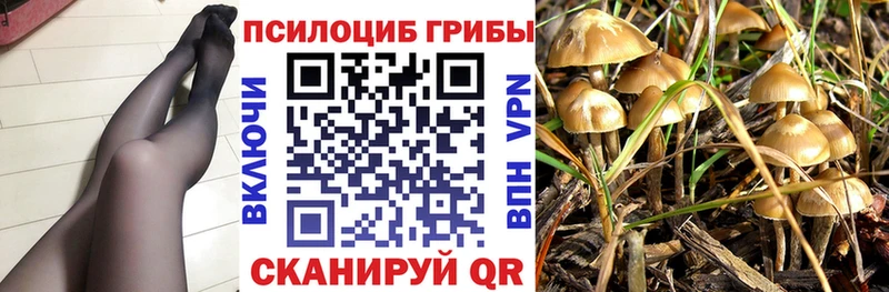 Галлюциногенные грибы мухоморы  ОМГ ОМГ ссылка  Нытва  цены наркотик 